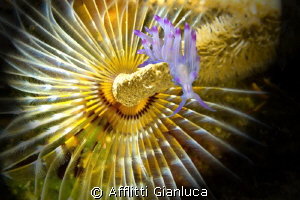screen.... by Afflitti Gianluca 